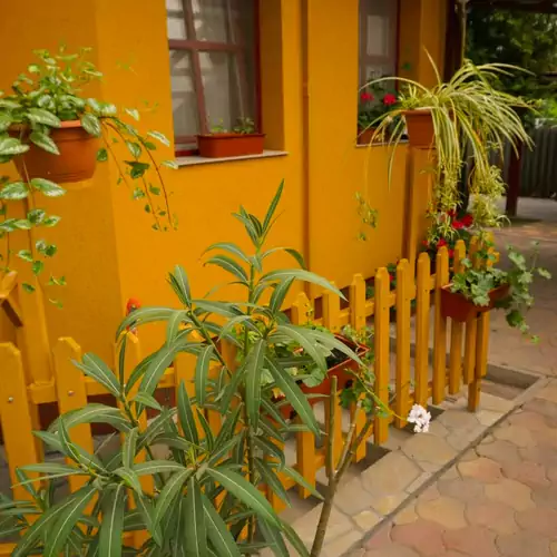 Erzsébet Apartman Siófok 005 kép