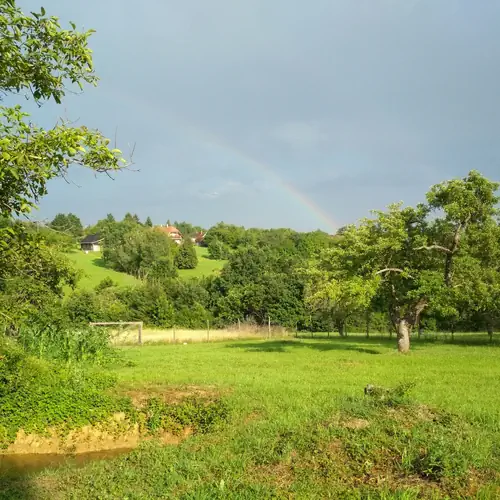 Kertecsk&eacute;nk. Panor&aacute;ma, sziv&aacute;rv&aacute;ny, t&oacute;ka &eacute;s sok sok mad&aacute;rcsicserg&eacute;s.