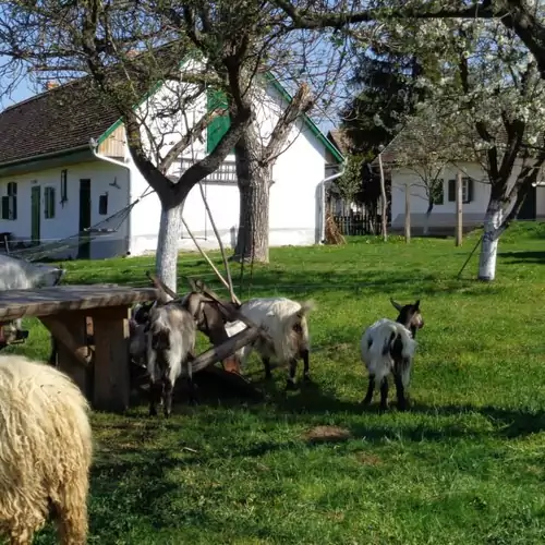 Racka Vendégház és Jurtaszállás Erdősmecske 002 kép