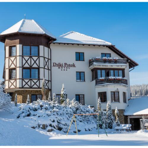 Hotel Dziki Potok Konferencje & SPA