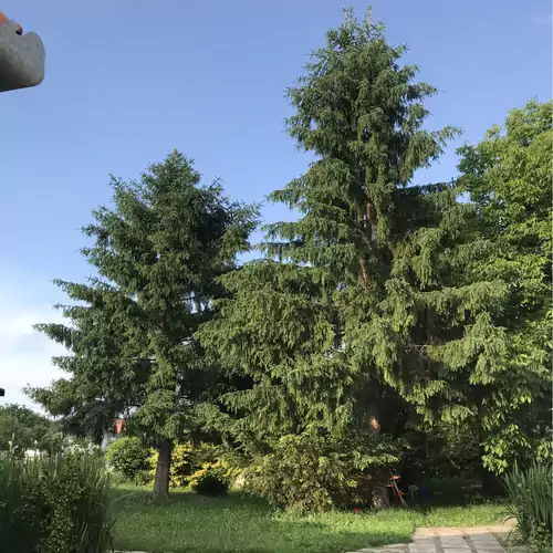 Luna Vendégház Novaj 015 kép
