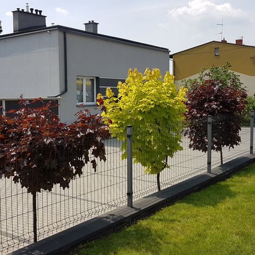 Ogród