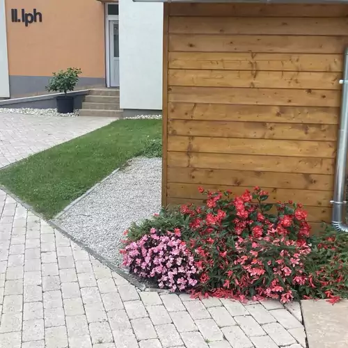 Akvárium Apartmanházak Keszthely 022 kép