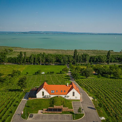 Vitis Kúria Balatonrendes  2