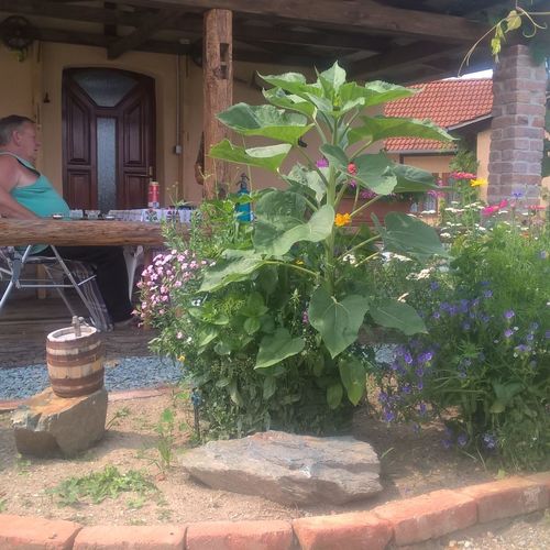 A vendégház bejárata.