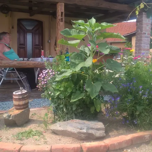 A vend&eacute;gh&aacute;z bej&aacute;rata.