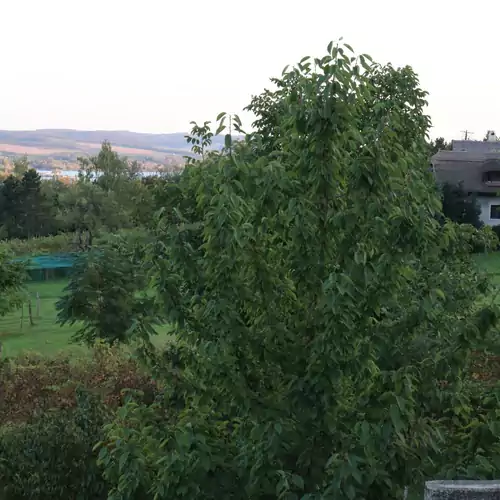 Siki Nyaralóház Tihany 008 kép