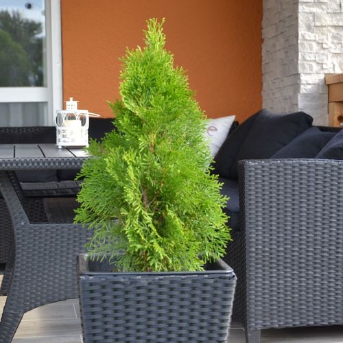 Balaton Relax Apartmanház Balatonfenyves  2