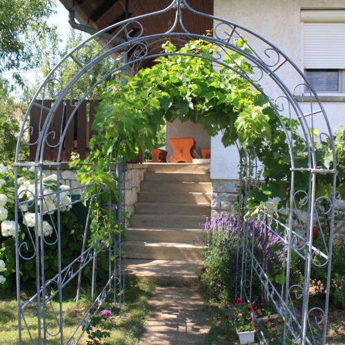 Pántlika Apartman Balatonakali  2