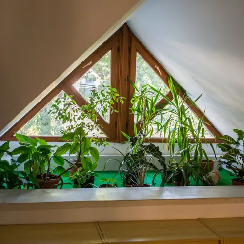 L&eacute;pcsőh&aacute;z