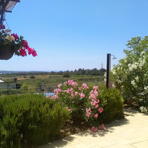 Villa Aleksandra Novigrad  3