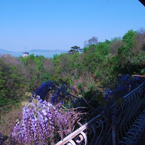 Kilátó IV Apartman Balatonboglár  4