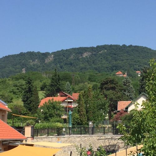 Kormorán Vendégház Badacsony  3