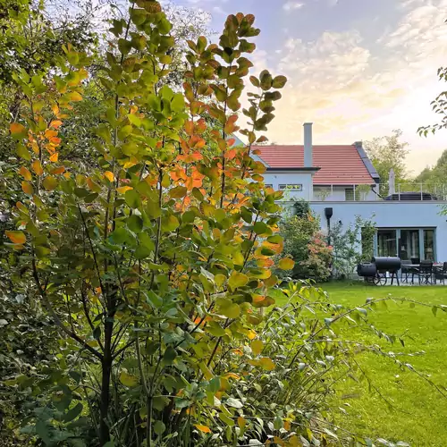 Villa Viridis Borsodgeszt 021 kép