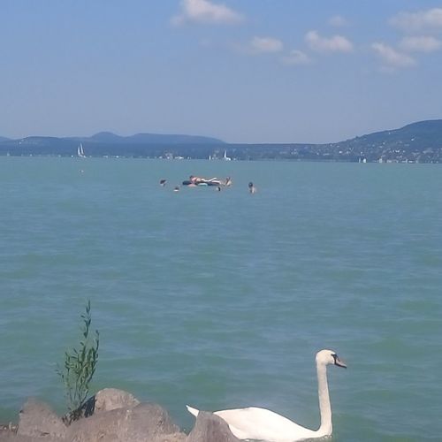 Lelle Resort 22 Apartman Balatonlelle   2