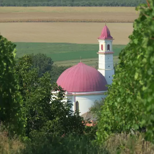 Borostyán Vendégház Palkonya 047 kép