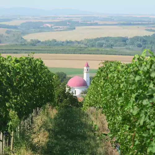 Borostyán Vendégház Palkonya 044 kép