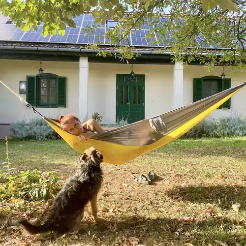 Borostyán Vendégház Palkonya 032 kép