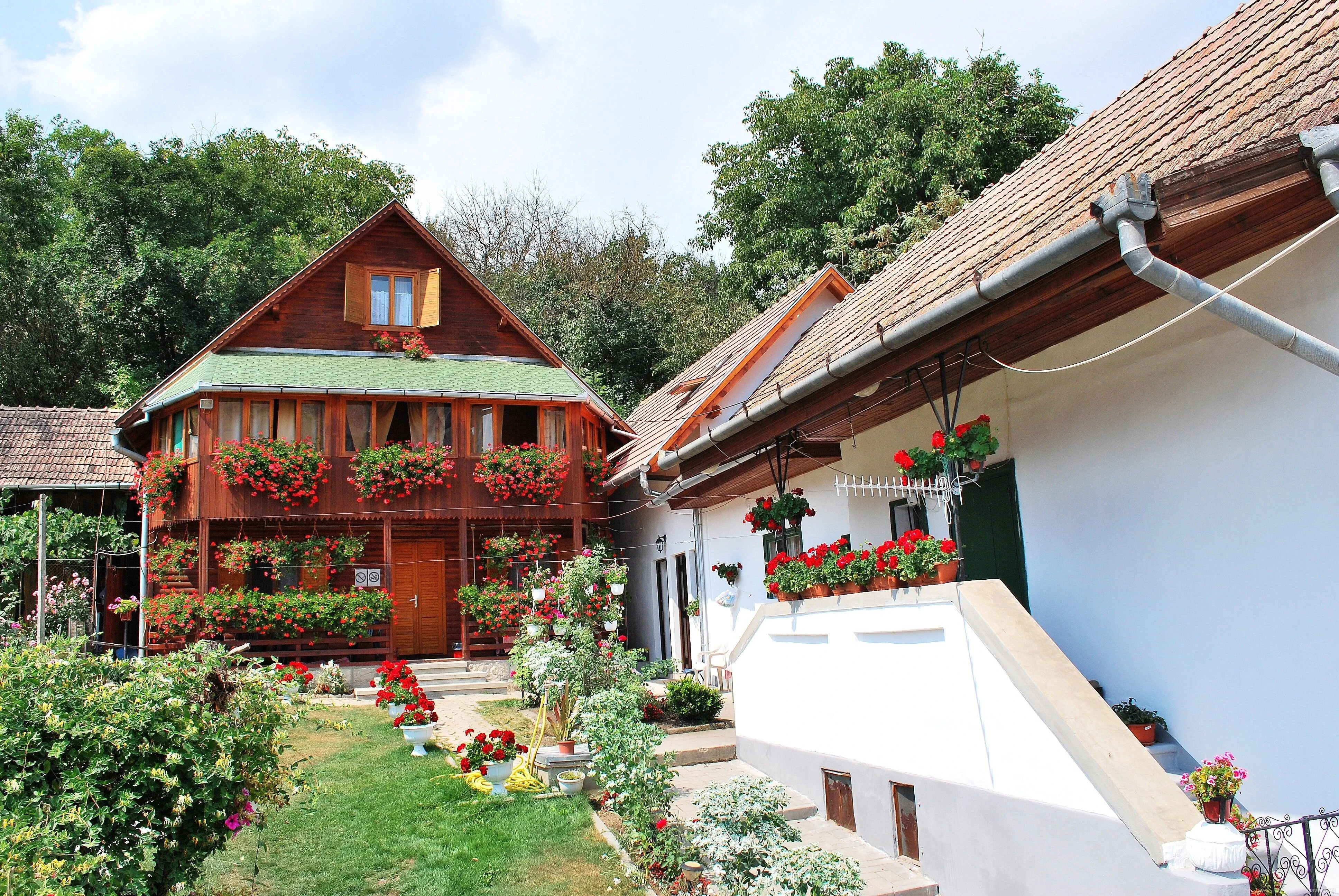 Pensiunea cu Mușcate Rimetea