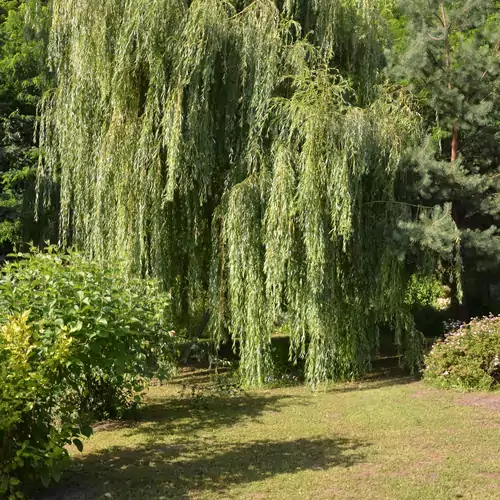 Alma Relax Vendégház Egerszalók 004 kép