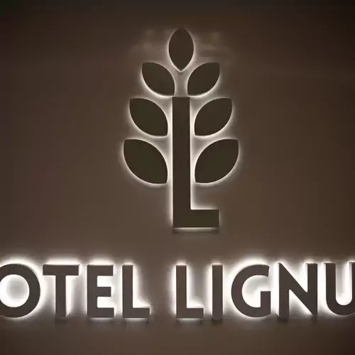 Lignum Hotel Miskolctapolca 011 kép