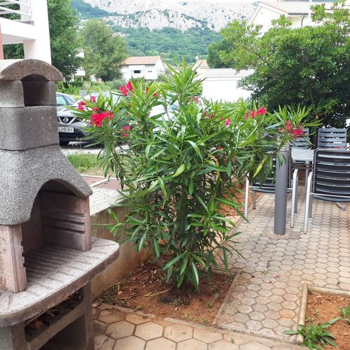 Apartment Nika Baška  3