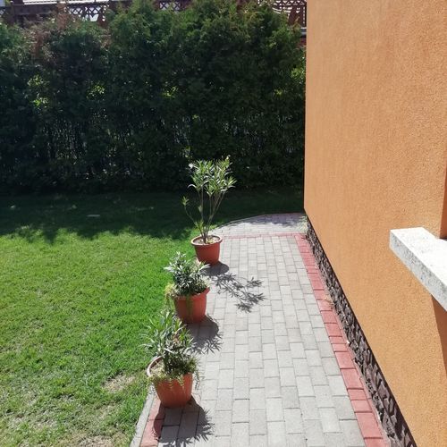 Fenyvescinege Ház Balatonfenyves  4