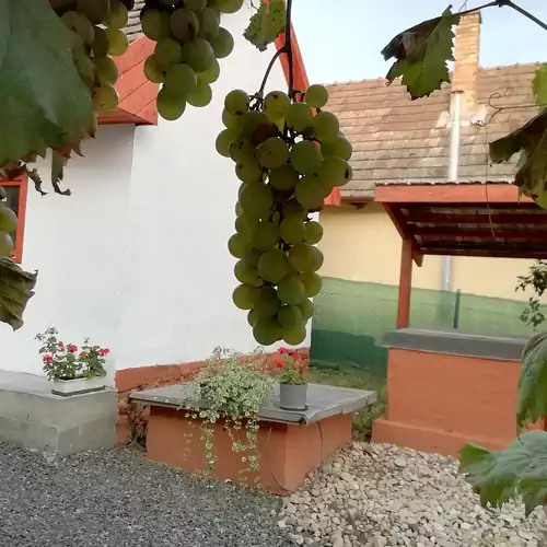 Nagyhaláp Vendégház Cserháthalá 008 kép