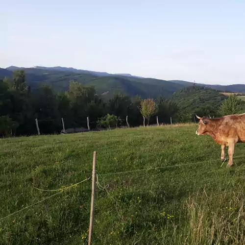 Bara Vendégház Szarvaskő 015 kép