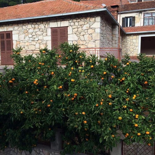 Nyaralóház Parkolóhellyel Svirce, Hvar - 17682 Svirče  4