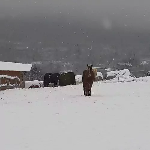 Pilis Völgye Lovas Vendégház Pilisszántó 009 kép