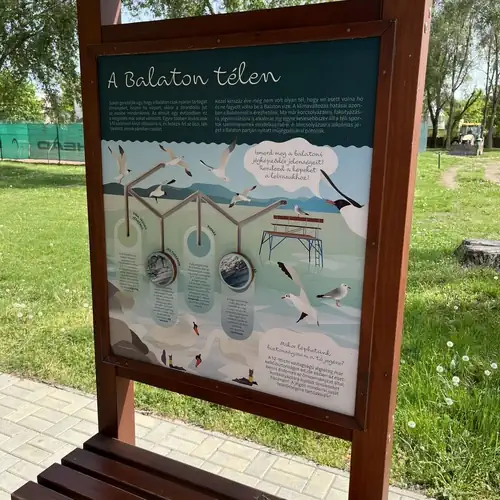 Beach Apartman Balatonlelle 007 kép