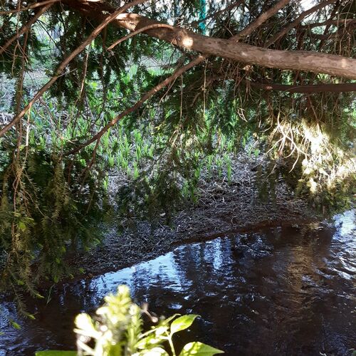 Flóra Apartman a Balatonnál Lovas