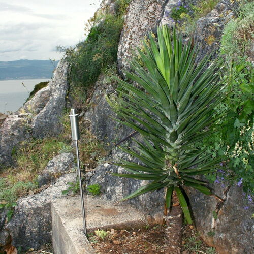 Nyaralóház Parkolóhellyel Vrbnik, Krk - 5426 Vrbnik  4