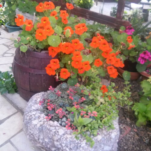 Apartmanok Parkolóhellyel Banjol, Rab - 16334 Banjol  3