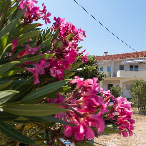 Apartmanok A Tenger Mellett Petrcane, Zadar - 17342 Petrčane  4