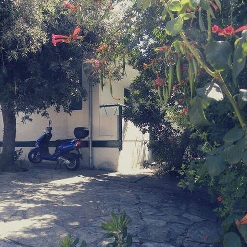 Apartmanok Parkolóhellyel Petrcane, Zadar - 17770 Petrčane  4