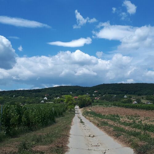 Káli 120 Vendégház Tagyon  2
