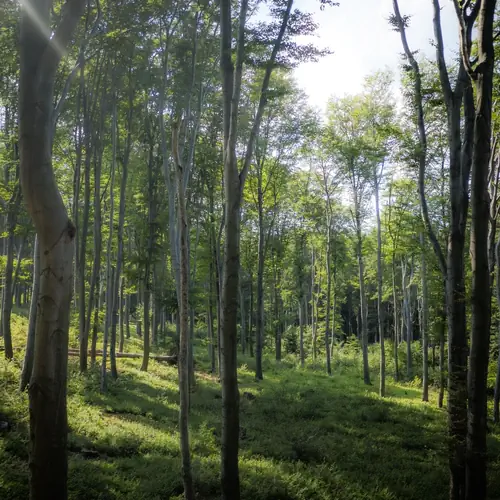 4 &Eacute;vszak Hegyihotel - Hangulat 1