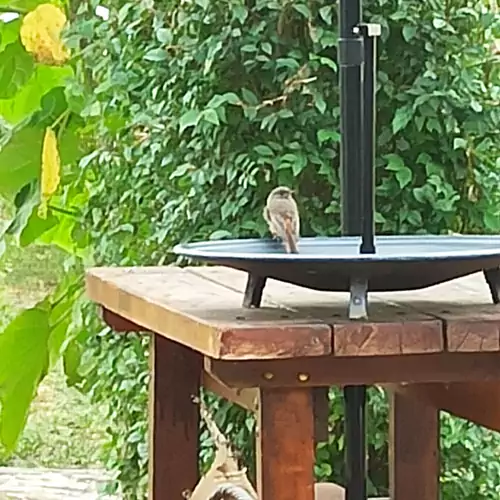 Tisza-tavi Menedék Vendégház Poroszló 038 kép
