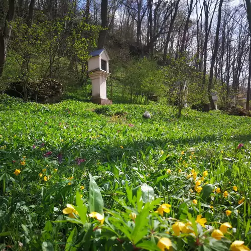 Szentkereszty Vendégház Bakonybél 098 kép