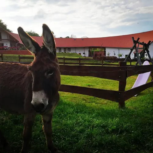 Szentkereszty Vendégház Bakonybél 117 kép