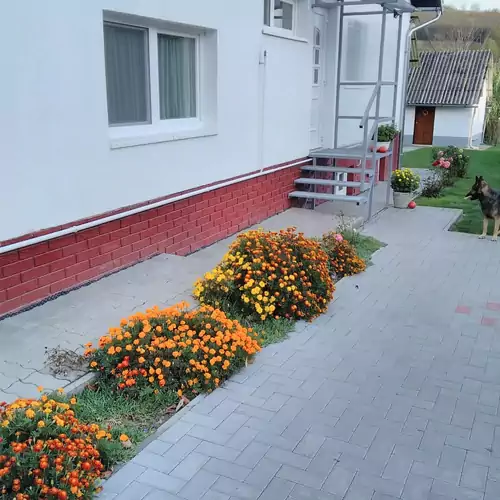 Székely Vendégház Kakasd 006 kép