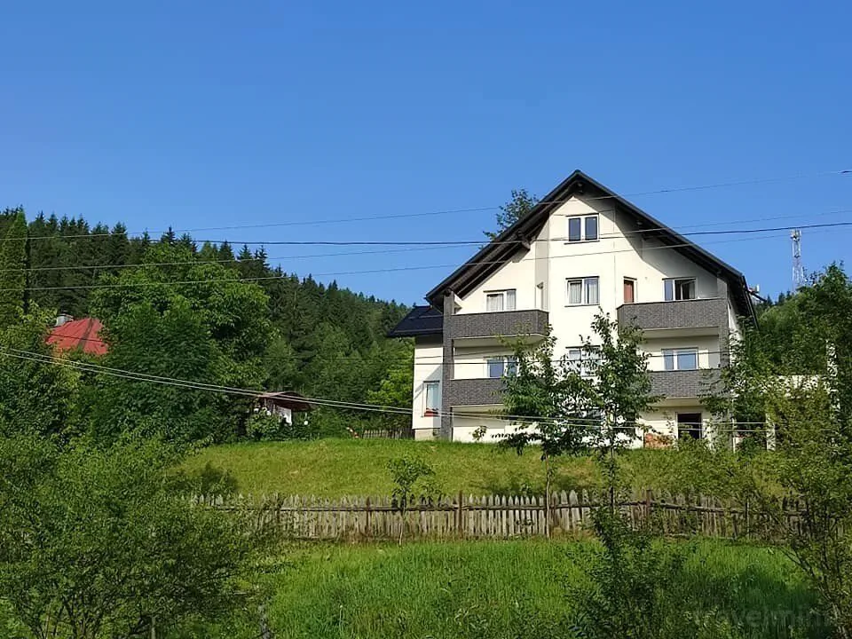 Casa Danci Centru Borșa