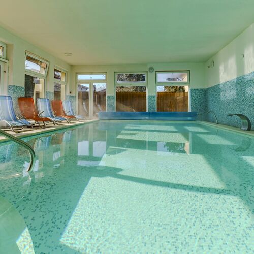Wellness