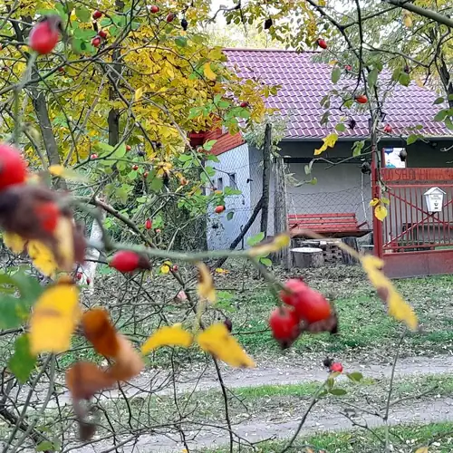 Erdő Szélén Vendégház Kiskunmajsa 055 kép