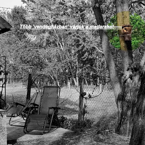 Erdő Szélén Vendégház Kiskunmajsa 059 kép