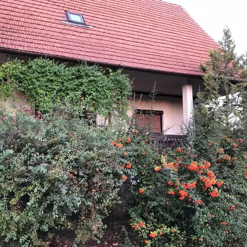 Veranda Apartman Nyíregyháza 002 kép