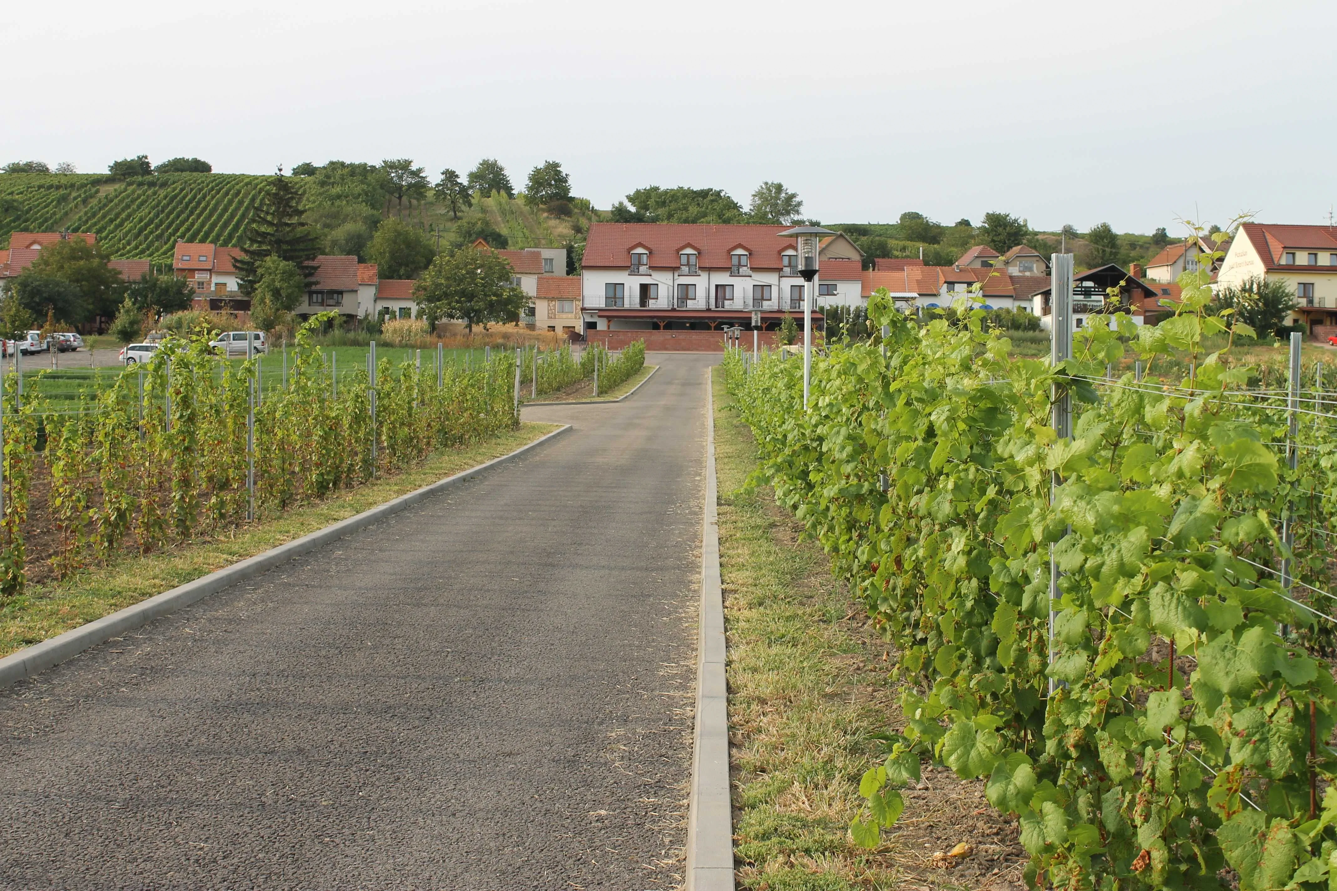 Penzion pod Kraví horou Bořetice
