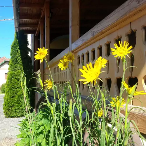 Hangonyi Pizzéria és Vendégház Hangony 031 kép